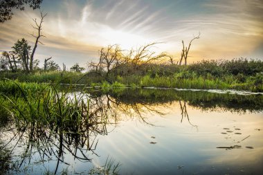 Polonya 'da gün batımında Biebrza Ulusal Parkı