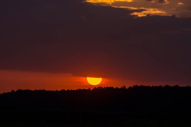Polonya 'da gün batımında Biebrza Ulusal Parkı