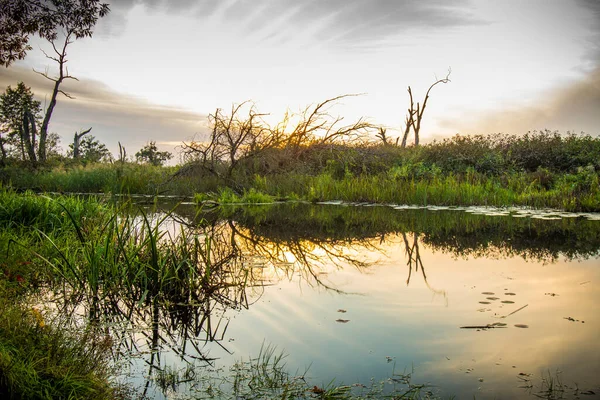 Polonya Gün Batımında Biebrza Ulusal Parkı — Stok fotoğraf