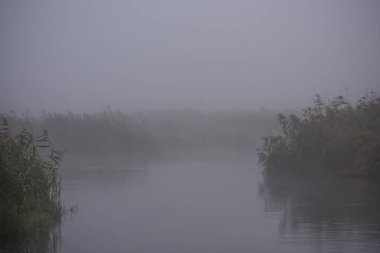 Polonya 'daki Biebrza Milli Parkı