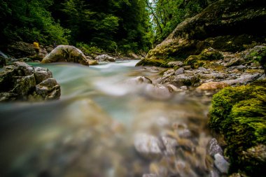 Slovenya 'daki Triglav ulusal parkının ortasındaki yeşil Soca nehri.