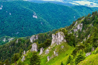 Velka fatra dağının yaz manzarası, Slovakya.