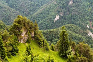 Velka fatra dağının yaz manzarası, Slovakya.
