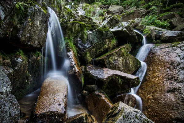 Vodopády v Jizerských horách pokryté UNESCO: Starobylé a prastaré bukové lesy Karpat a dalších regionů Evropy — Stock fotografie