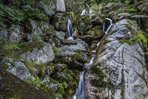 Vodopády v Jizerských horách pokryté UNESCO: Starobylé a prastaré bukové lesy Karpat a dalších regionů Evropy — Stock fotografie