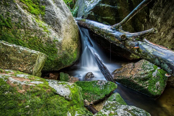 Waterfals in Jizera Mountains covered in UNESCO: Ancient and Primeval Beech Forests of the Carpathians and Other Regions of Europe — Foto de Stock