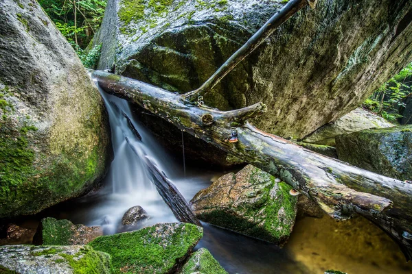 Wasserfälle im Isergebirge in der UNESCO-Liste: Uralte Buchenwälder der Karpaten und anderer Regionen Europas — Stockfoto