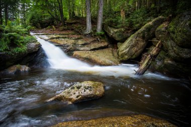 UNESCO 'daki Şelaleler: Karpatlar ve Avrupa' nın Diğer Bölgelerindeki Antik ve İlkel Kayın Ormanları