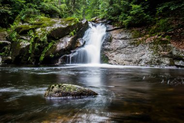 UNESCO 'daki Şelaleler: Karpatlar ve Avrupa' nın Diğer Bölgelerindeki Antik ve İlkel Kayın Ormanları