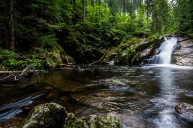 UNESCO 'daki Şelaleler: Karpatlar ve Avrupa' nın Diğer Bölgelerindeki Antik ve İlkel Kayın Ormanları