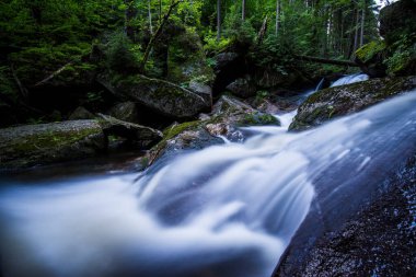 UNESCO 'daki Şelaleler: Karpatlar ve Avrupa' nın Diğer Bölgelerindeki Antik ve İlkel Kayın Ormanları