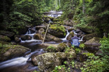 UNESCO 'daki Şelaleler: Karpatlar ve Avrupa' nın Diğer Bölgelerindeki Antik ve İlkel Kayın Ormanları
