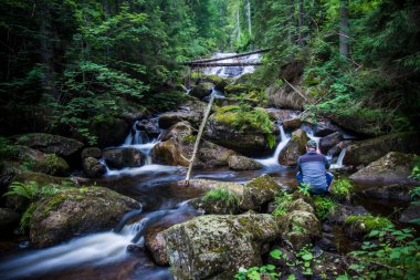 UNESCO 'daki Şelaleler: Karpatlar ve Avrupa' nın Diğer Bölgelerindeki Antik ve İlkel Kayın Ormanları