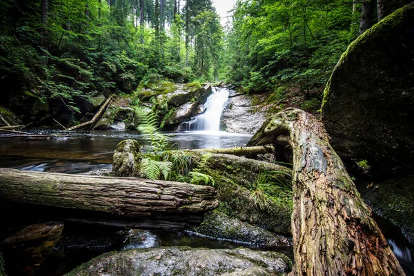 Waterfals Jizera Montanhas Cobertas Pela Unesco Florestas Faia Antigas Primitivas — Fotografia de Stock