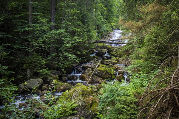 Waterfals Jizera Mountains Tercakup Dalam Unesco Ancient Primeval Beech Forests — Stok Foto