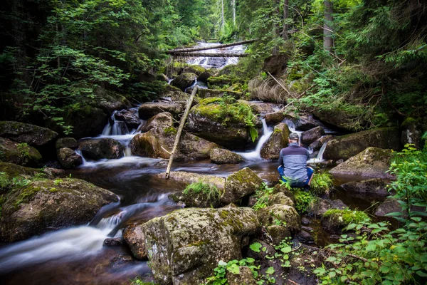UNESCO 'daki Şelaleler: Karpatlar ve Avrupa' nın Diğer Bölgelerindeki Antik ve İlkel Kayın Ormanları