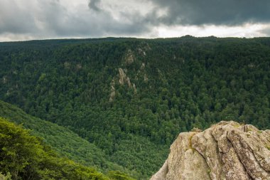 Çek Cumhuriyeti 'ndeki Jizera Dağı.