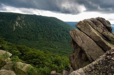 Çek Cumhuriyeti 'ndeki Jizera Dağı.