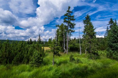 Çek Cumhuriyeti 'ndeki Jizera Dağı.