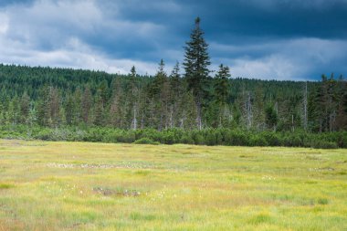 Çek Cumhuriyeti 'ndeki Jizera Dağı.