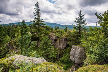 Çek Cumhuriyeti 'ndeki Jizera Dağı.