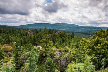 Çek Cumhuriyeti 'ndeki Jizera Dağı.