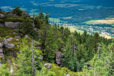 Çek Cumhuriyeti 'ndeki Jizera Dağı.