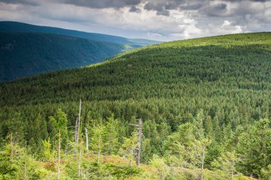 Çek Cumhuriyeti 'ndeki Jizera Dağı.