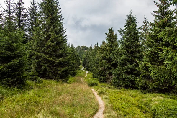 Jizera Mountain Czech Republic — Stock Photo, Image