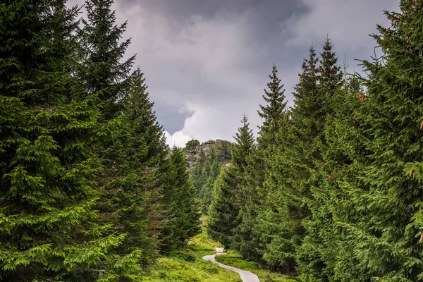 Jizera Mountain Czech Republic — Stock Photo, Image