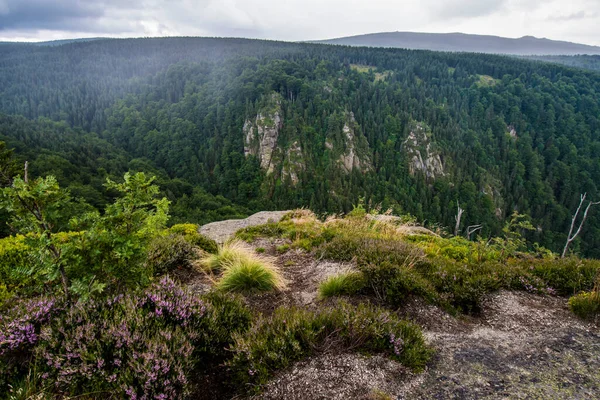 Jizera Mountain Czech Republic — Stock Photo, Image