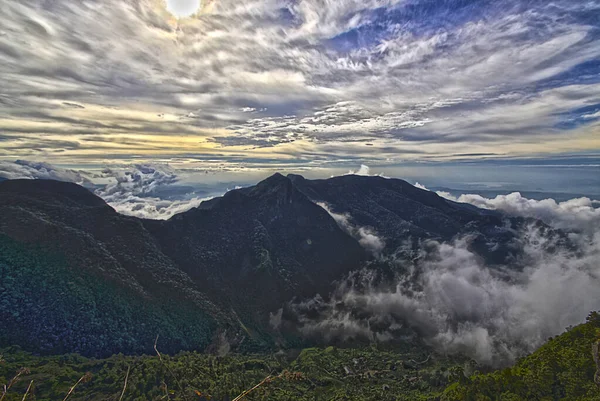 Horton Plains Het Eiland Sri Lanka — Stockfoto