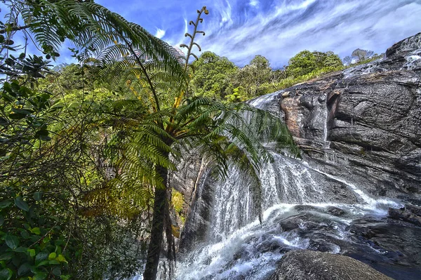 Horton Plains Est Sri Lanka Île — Photo