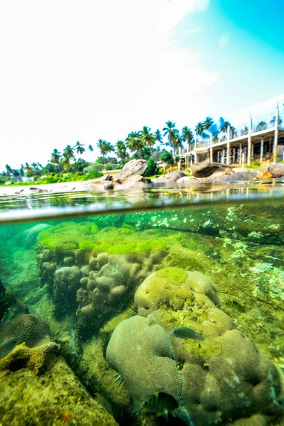 Υποβρύχια Βράχια Στην Ακτή Του Ινδικού Ωκεανού Σρι Λάνκα — Φωτογραφία Αρχείου