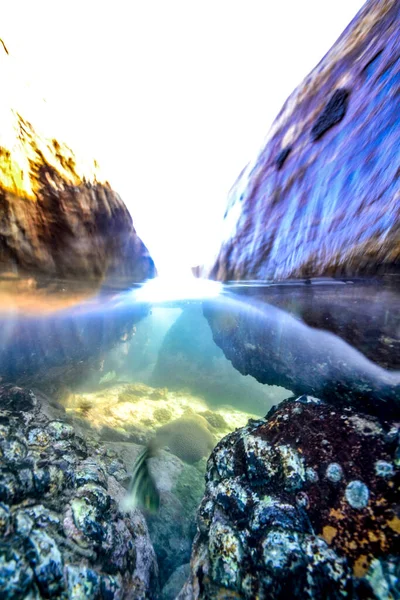 インド洋の海岸にある岩 スリランカ — ストック写真