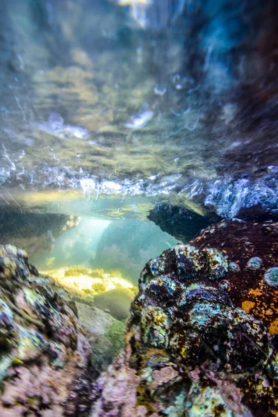 インド洋の海岸にある岩 スリランカ — ストック写真