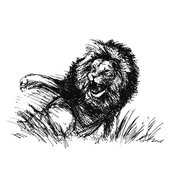 Esbozo de mano de un león furioso — Vector de stock