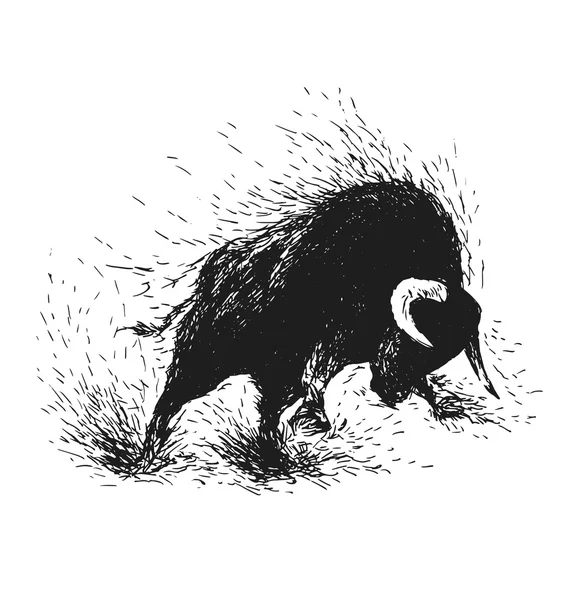 Disegno a mano di un toro infuriato — Vettoriale Stock