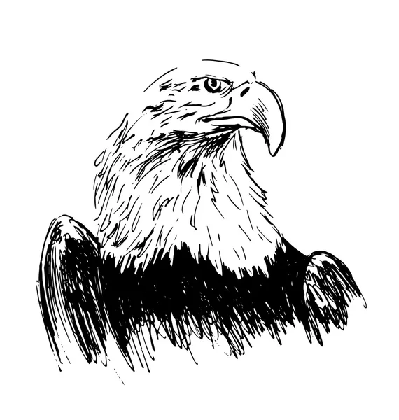 Aigle dessin à la main — Image vectorielle