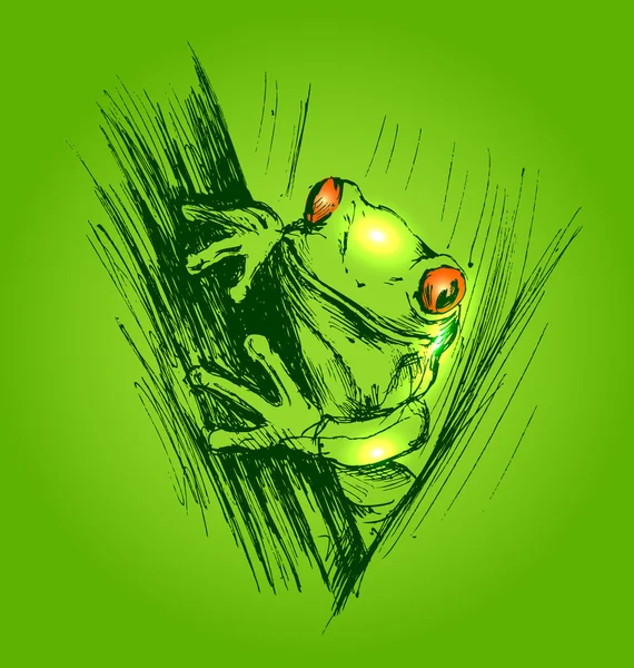 Croquis à la main coloré grenouilles — Image vectorielle