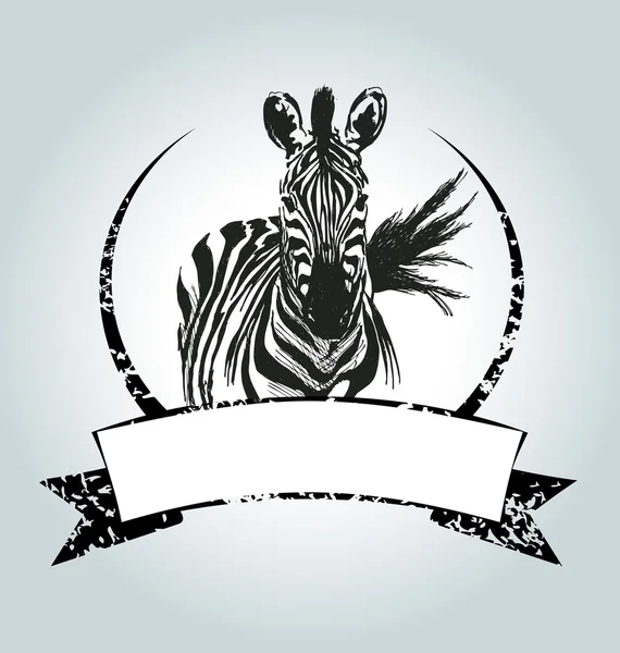 Vector vintage label with zebra — Stock Vector