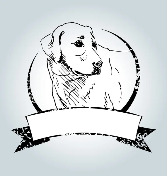 Vector vintage label met schets Labrador — Stockvector