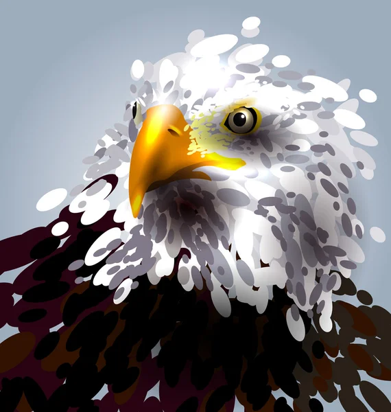 Illustration vectorielle de la tête des aigles — Image vectorielle