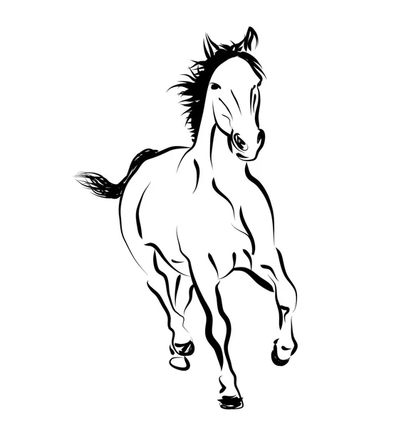 Croquis vectoriel en ligne d'un cheval de course — Image vectorielle