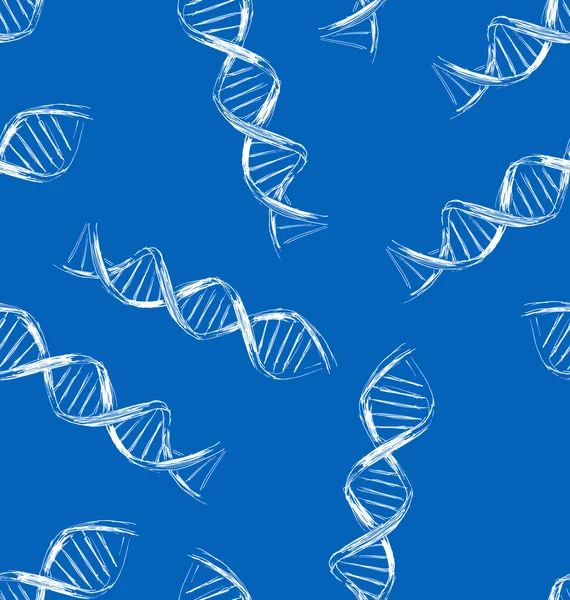 Latar belakang mulus dengan DNA sketsa - Stok Vektor