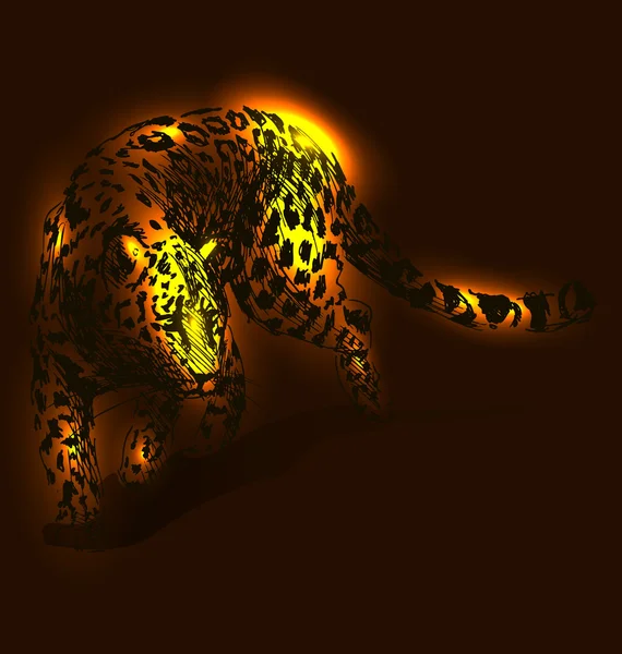 Vektor illustration av leopard — Stock vektor