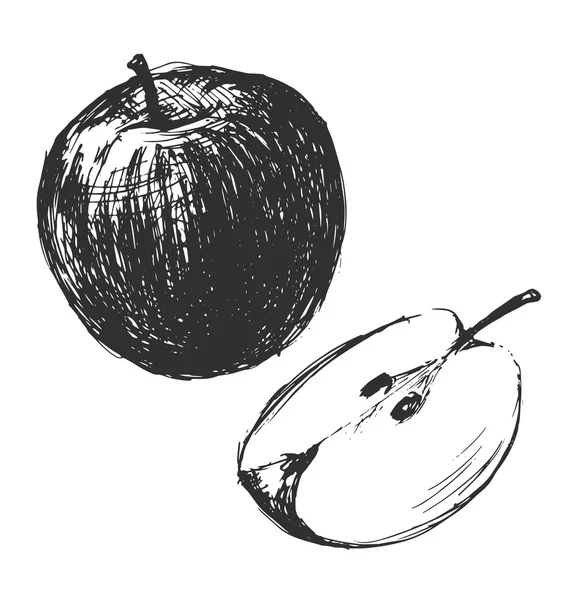 Esbozo de manzanas — Vector de stock