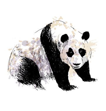 Renkli el çizim panda