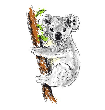 Renkli el çizim koala