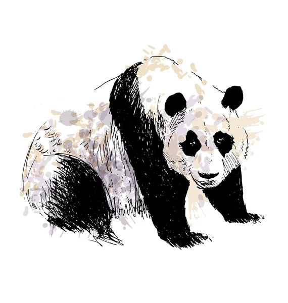 Mão colorida desenho panda —  Vetores de Stock